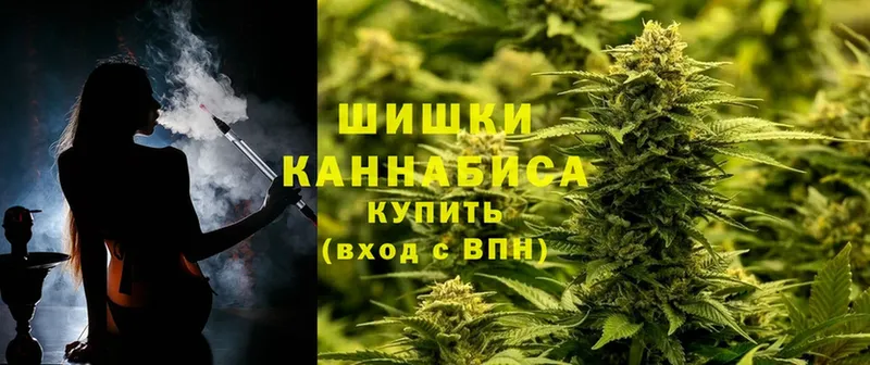 где купить наркоту  Орёл  Бошки марихуана Amnesia 